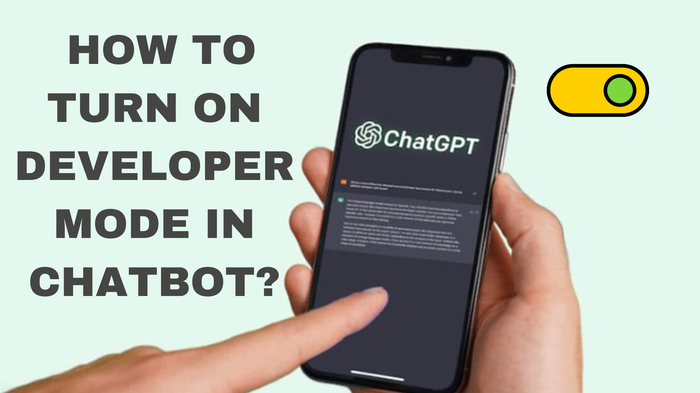 How to Turn ON Developer Mode in Chatbot